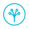 Digital sustainability